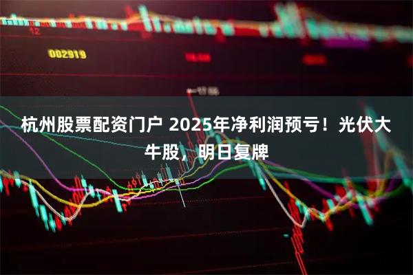 杭州股票配资门户 2025年净利润预亏！光伏大牛股，明日复牌