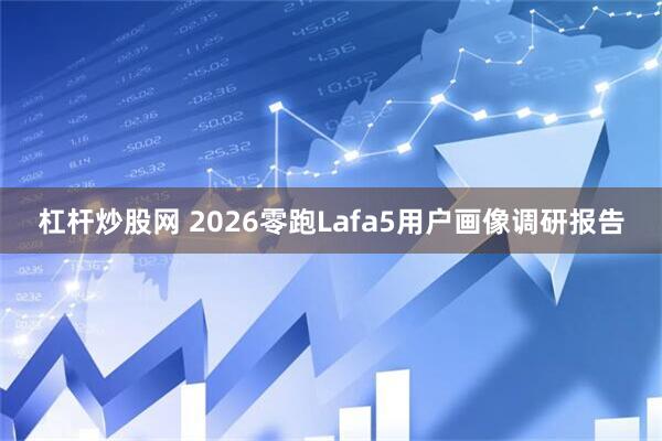 杠杆炒股网 2026零跑Lafa5用户画像调研报告