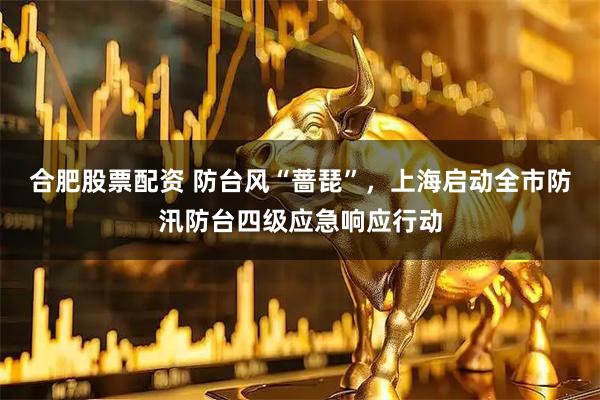 合肥股票配资 防台风“蔷琵”，上海启动全市防汛防台四级应急响应行动